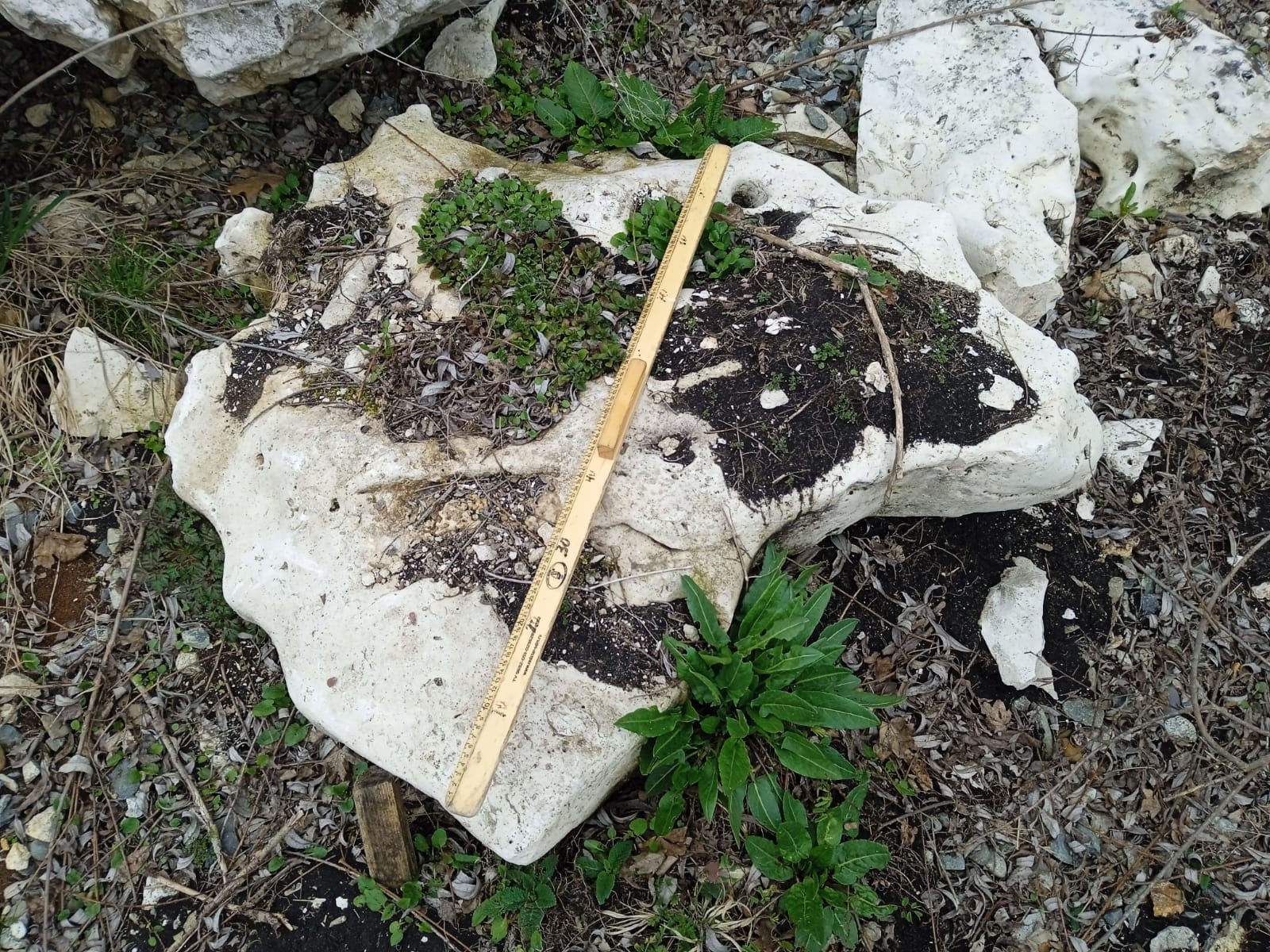  Выветренный известняк (степной) фр. 500-1500 мм.  купить в Санкт-Петербурге    8 500 руб/т   фото 