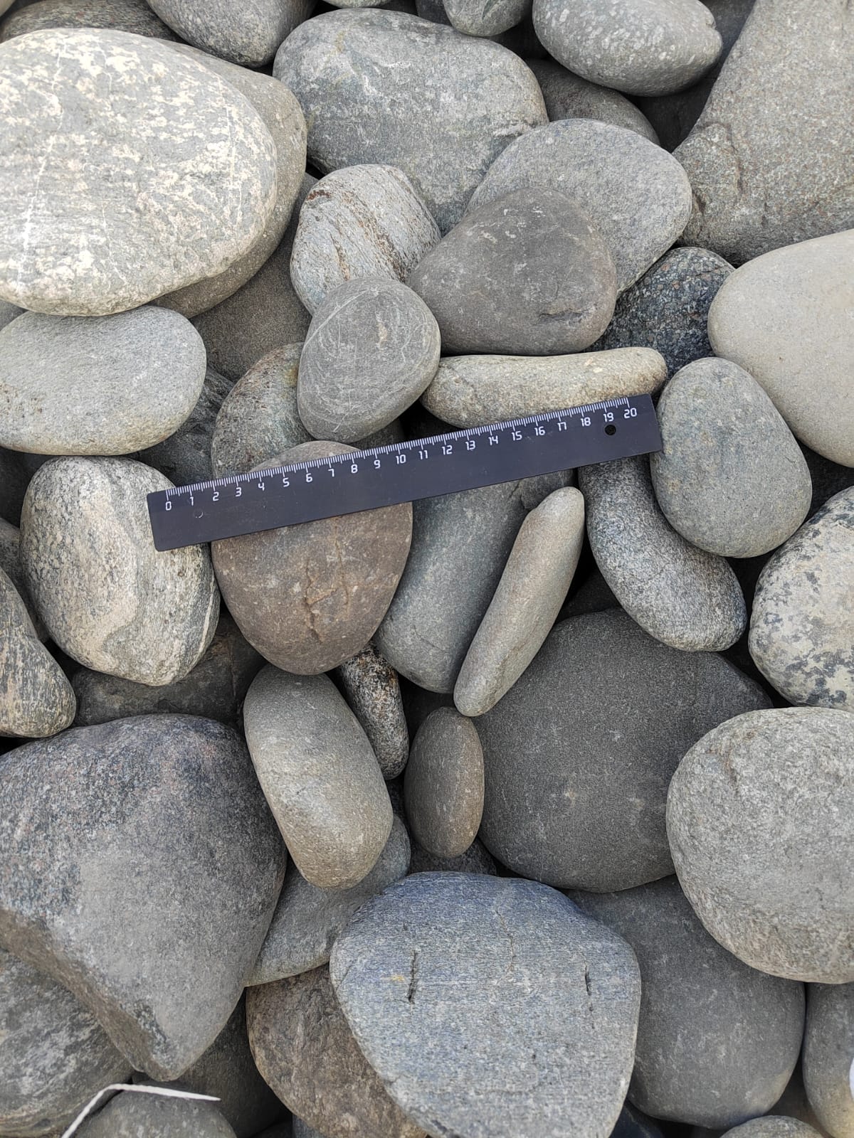 Kamenclub.ru: Галька речная плоская (ассорти) фр. 70-150 мм. купить   в  Санкт-Петербургегалька галечник серый белый темно-серый синий светло-серый плоская природная галька  6200 руб/т   фото КАМЕНЬ КЛУБ