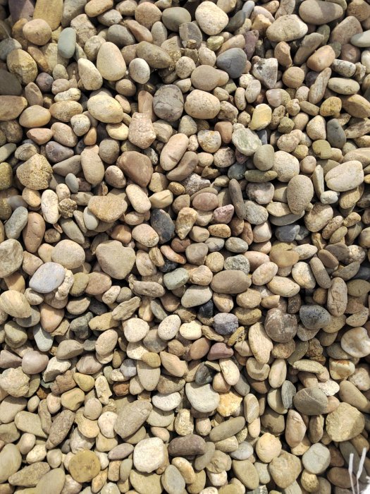  Галька речная окат рыжая фр. 20-40 мм. купить   в Санкт-Петербурге галька речная окатанная рыжая желтая серая округлая речная галька 4000 руб/т   фото 