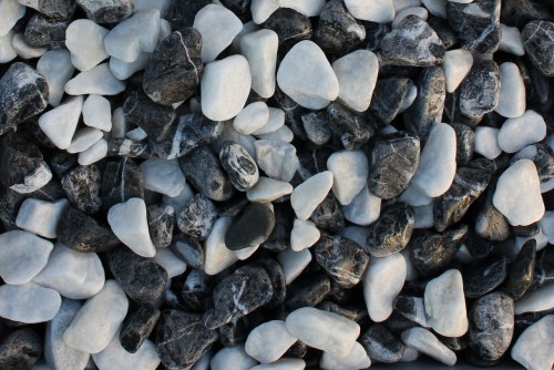 Микс гальки далматин (щебень галтованный микс:белый-черный) фр.40-70 мм.  купить  в Санкт-Петербурге мрамор белый, черный айвори серый галтовка природного камня 14500 руб/т   фото 