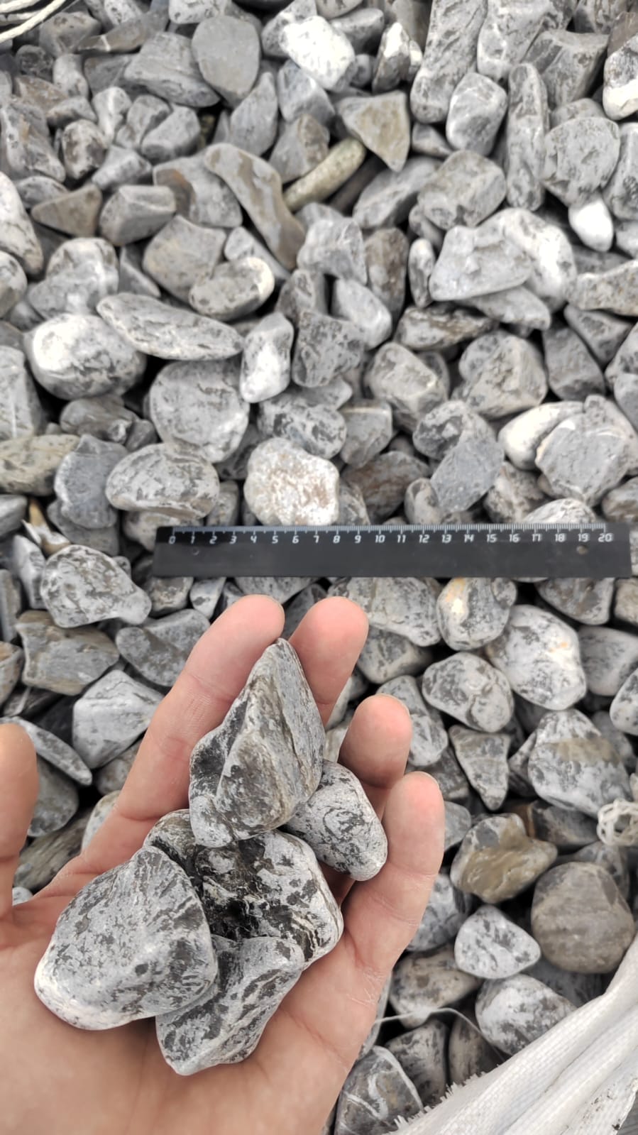  Черная галька (щебень галтованный черный мрамор) фр.40-70 мм.  купить  в Санкт-Петербурге мрамор черный с белыми прожилками, черный, белый щебень галтованный округлый 13500 руб/т   фото 