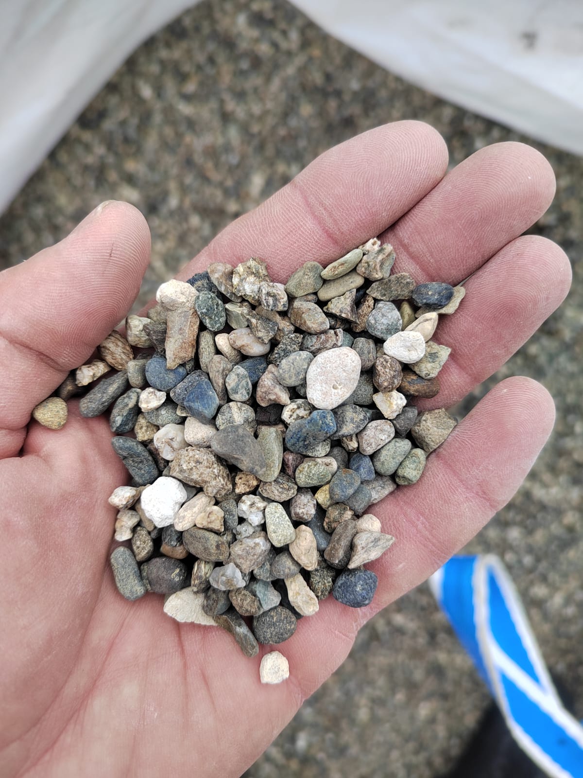  Галька речная окат (серая) фр.5-10 мм купить   в Санкт-Петербурге галька речная серая, серый, темно-серый, светло-серый, коричневый речная окатанная галька декоративная ландшатфная 4000 руб/т   фото 