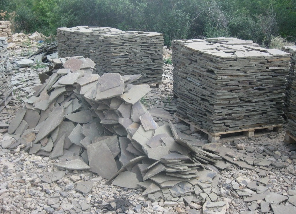 Пластушка серо-зеленая