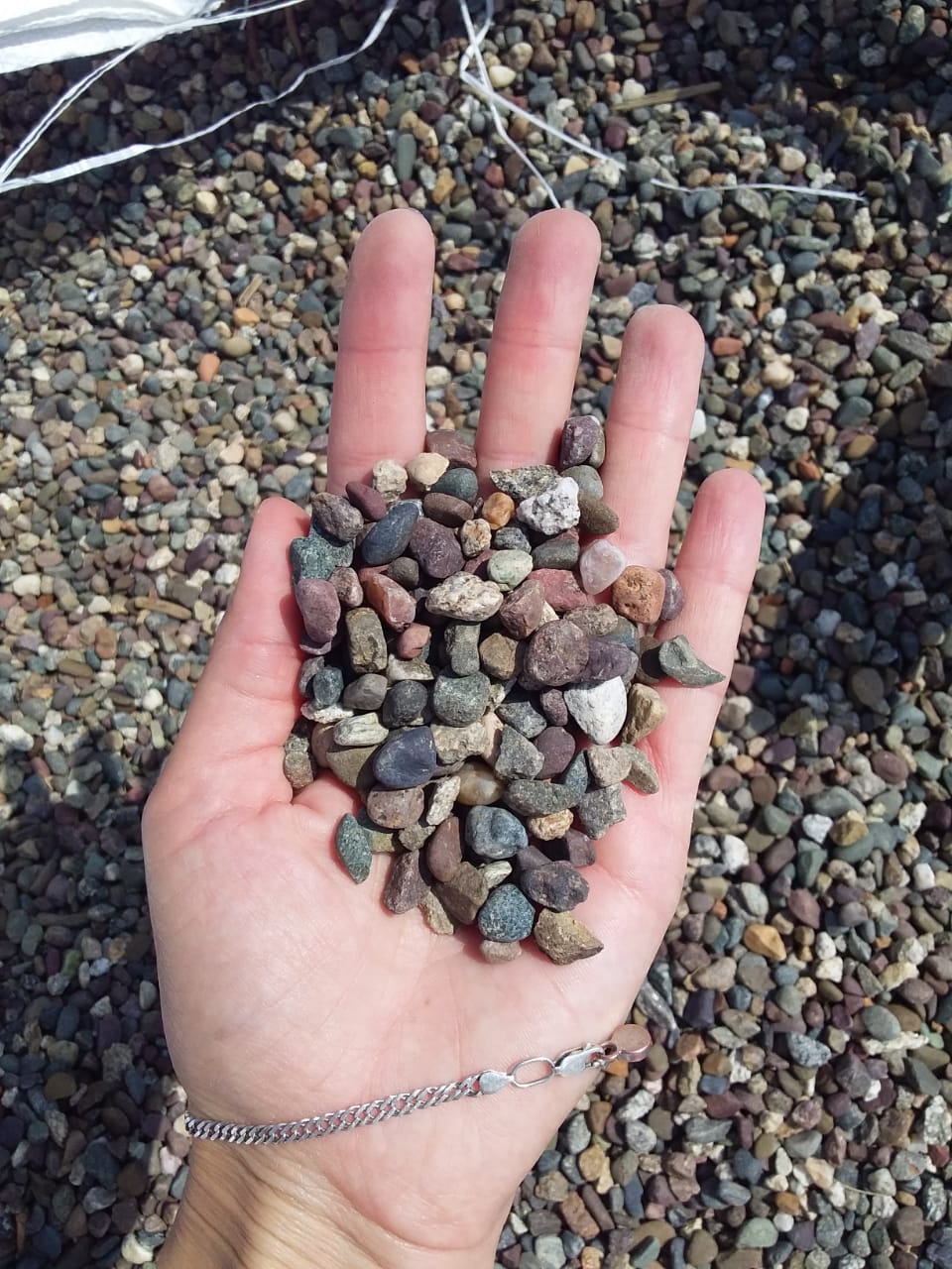  Галька речная окат цветная фр.5-10 мм. купить   в Санкт-Петербурге галька речная белый, серый, красноватый, синий, темно-серый речная окатанная галька декоративная 5000 руб/т   фото 