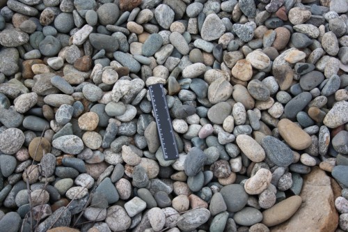  Галька речная окат (пестрая) фр. 20-40 мм. купить   в Санкт-Петербурге галька речная пестрая, серая, серые оттенки галька речная окатанная округлая 4000 руб/т   фото 