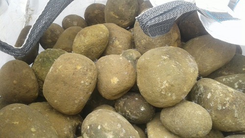  Песчаник ядра, фр. 100-300 мм  купить в Санкт-Петербурге песчаник бежевый серый рыжий речная галька 5 000 руб/т   фото 