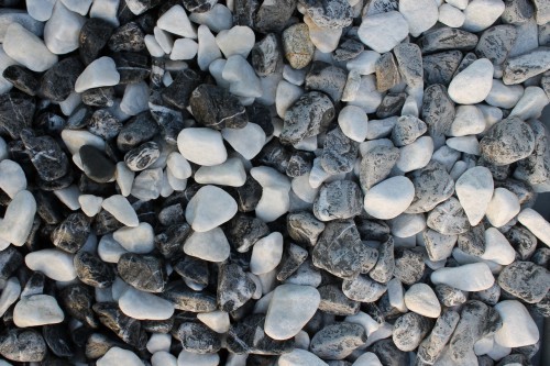  Микс шахматной гальки  (щебень галтованный микс:: белый-черный) фр.20-40 мм  купить  в Санкт-Петербурге мрамор белый, черный мраморный галтованный щебень 14500 руб/т   фото 