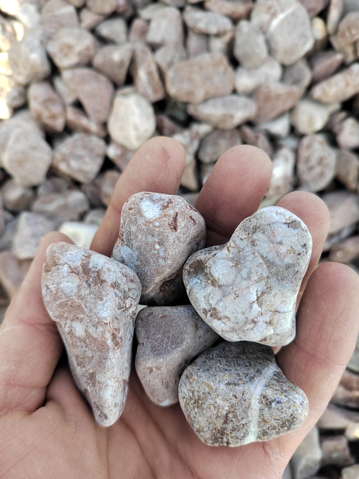  Розовая галька (щебень галтованный розовый) фр.20-40 мм.  купить  в Санкт-Петербурге мрамор розовый, красный оголтованный округлый щебень  13500 руб/т   фото 