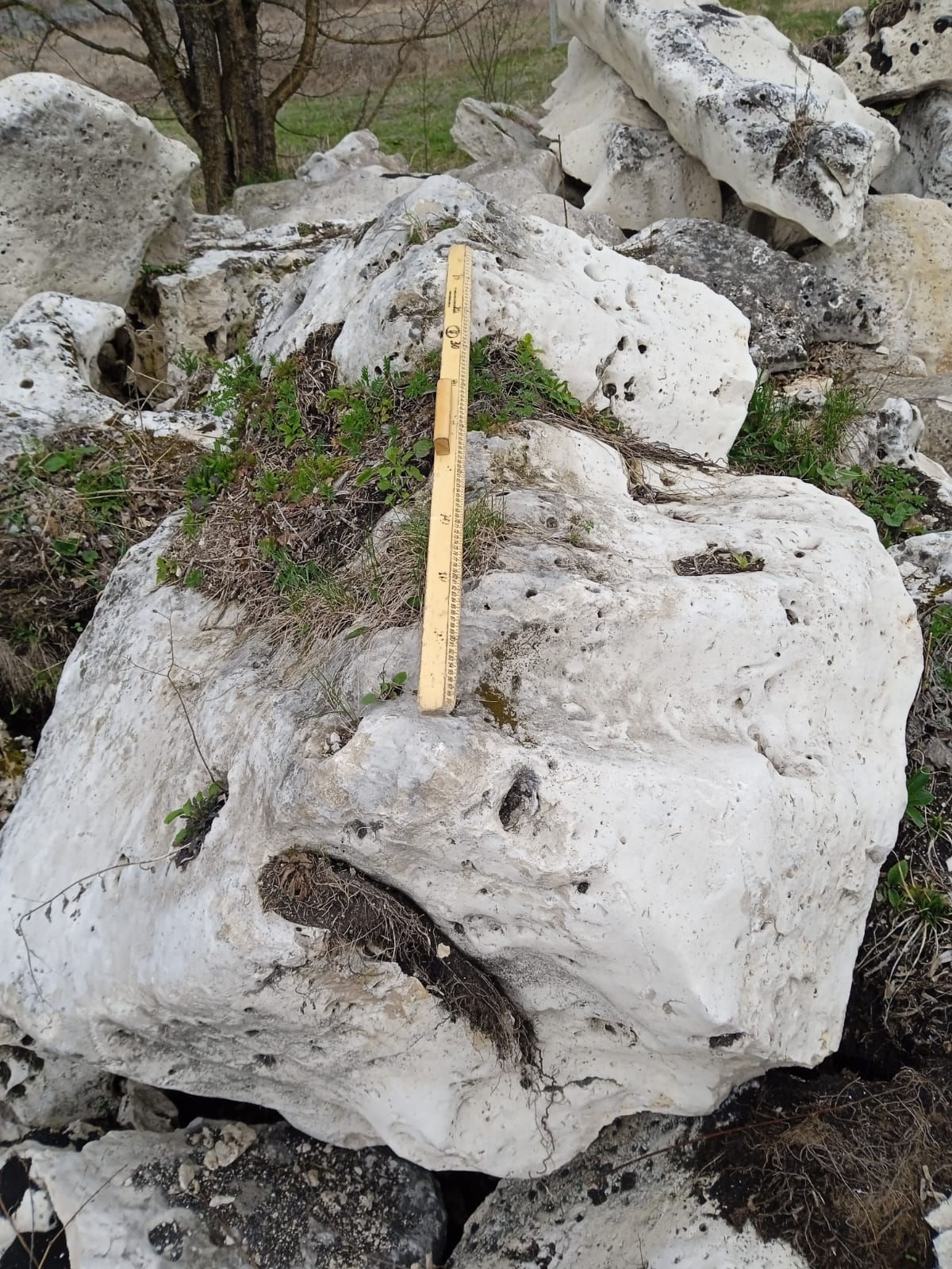  Выветренный известняк (степной) фр. 500-1500 мм.  купить в Санкт-Петербурге    8 500 руб/т   фото 