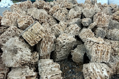  Крымский природный меотис фр. 100-500 мм.  купить в Санкт-Петербурге меотис бежевый рыжий молочный желтый ракушечник 4 500 руб/т   фото 