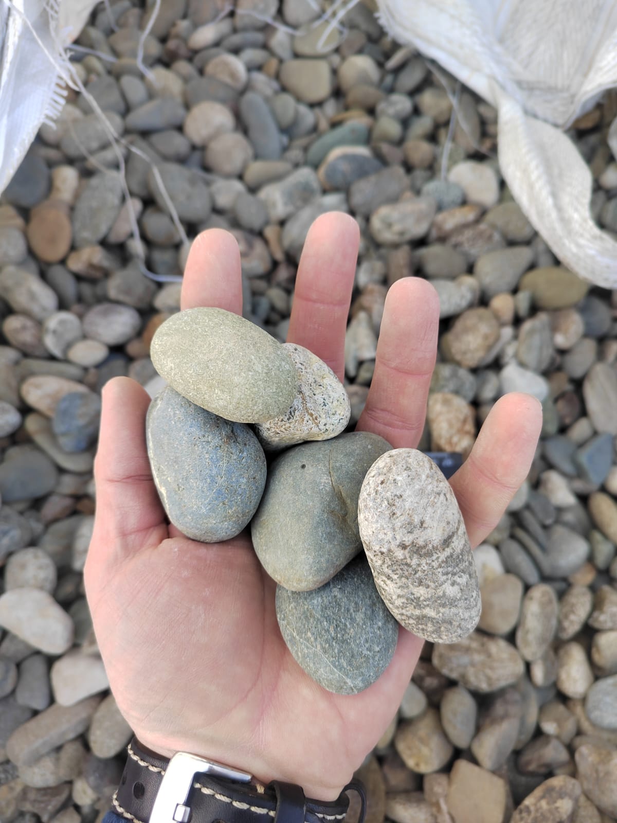  Галька речная окат (пестрая) фр. 20-40 мм. купить   в Санкт-Петербурге галька речная пестрая, серая, серые оттенки галька речная окатанная округлая 4000 руб/т   фото 