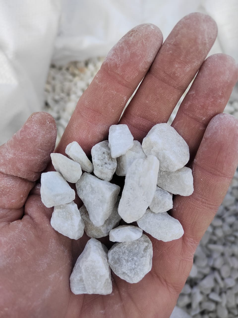  Мраморная крошка, щебень, цвет-белый, фр. 10-20 мм.  купить  в Санкт-Петербурге мрамор белый, молочный айвори каменная ландшафтная декоративная крошка шебня 9500 руб/т   фото 