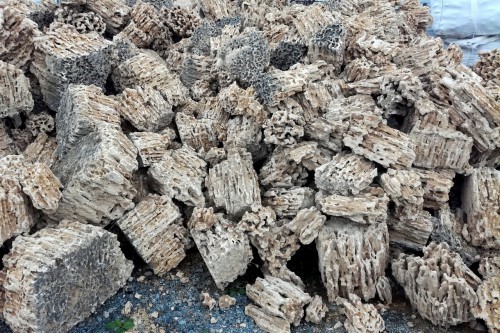  Крымский природный меотис фр. 100-500 мм.  купить в Санкт-Петербурге меотис бежевый рыжий молочный желтый ракушечник 4 500 руб/т   фото 