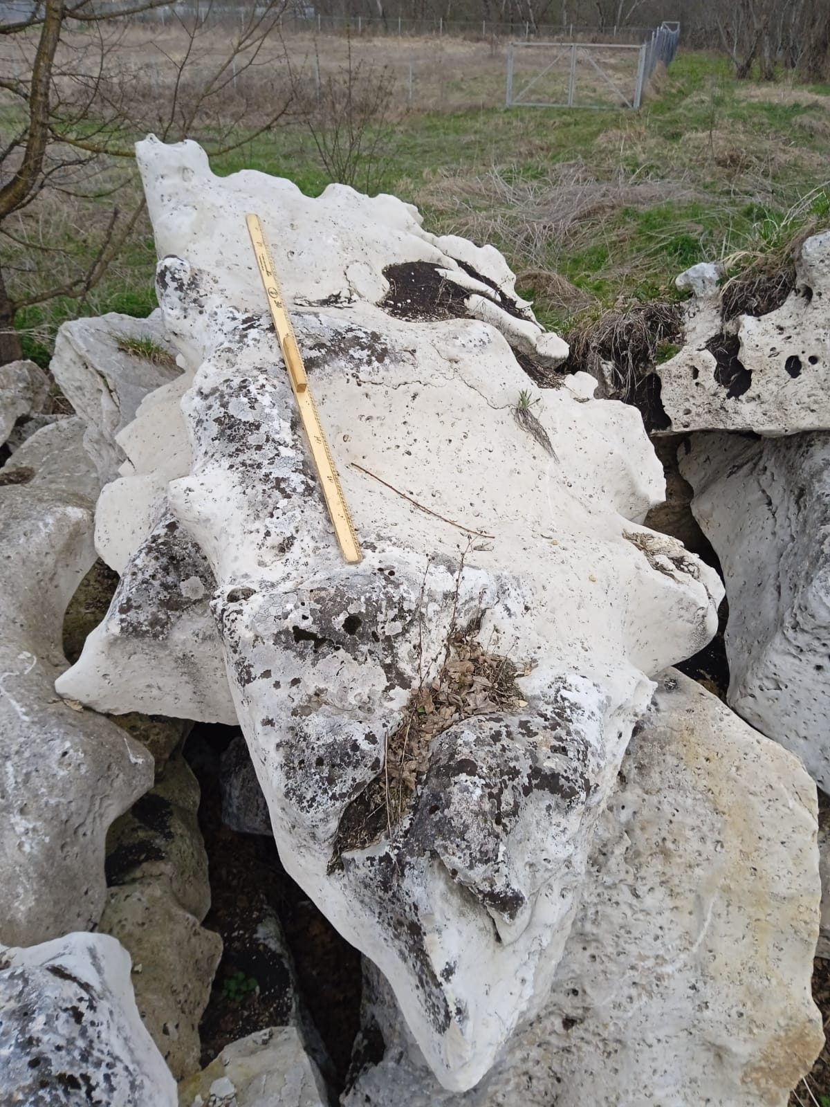  Выветренный известняк со мхом фр. 100-500 мм.  купить в Санкт-Петербурге известняк серый белый зеленый валун известняковый крупный 7 500 руб/т   фото 