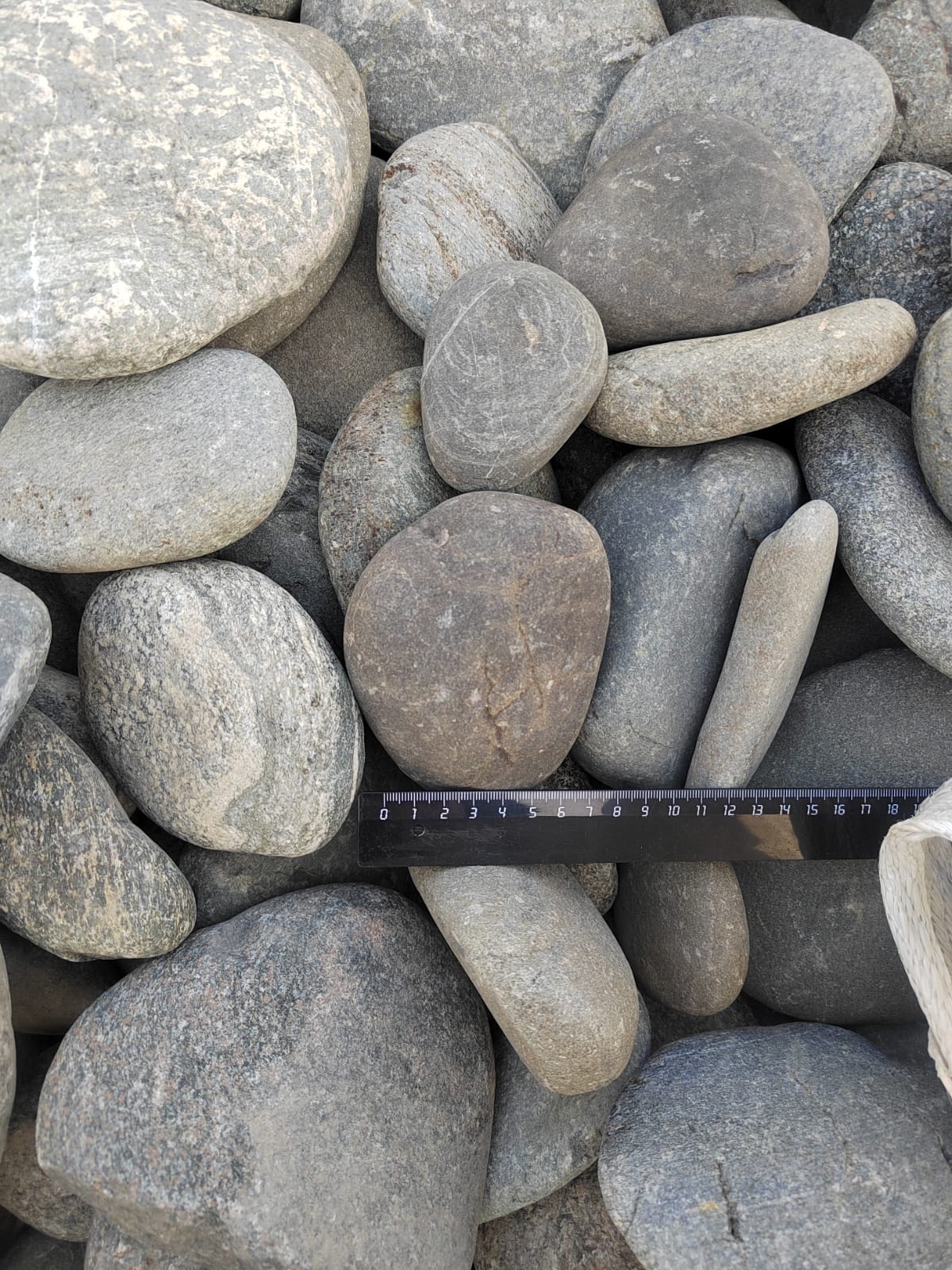 Kamenclub.ru: Галька речная плоская (ассорти) фр. 70-150 мм. купить   в  Санкт-Петербургегалька галечник серый белый темно-серый синий светло-серый плоская природная галька  6200 руб/т   фото КАМЕНЬ КЛУБ