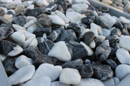  Микс шахматной гальки  (щебень галтованный микс:: белый-черный) фр.20-40 мм  купить  в Санкт-Петербурге мрамор белый, черный мраморный галтованный щебень 14500 руб/т   фото 