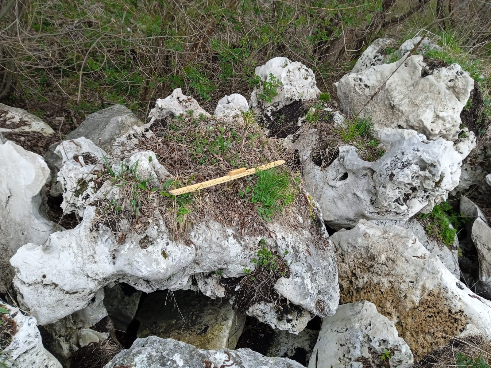  Выветренный известняк (степной) фр. 500-1500 мм.  купить в Санкт-Петербурге    8 500 руб/т   фото 