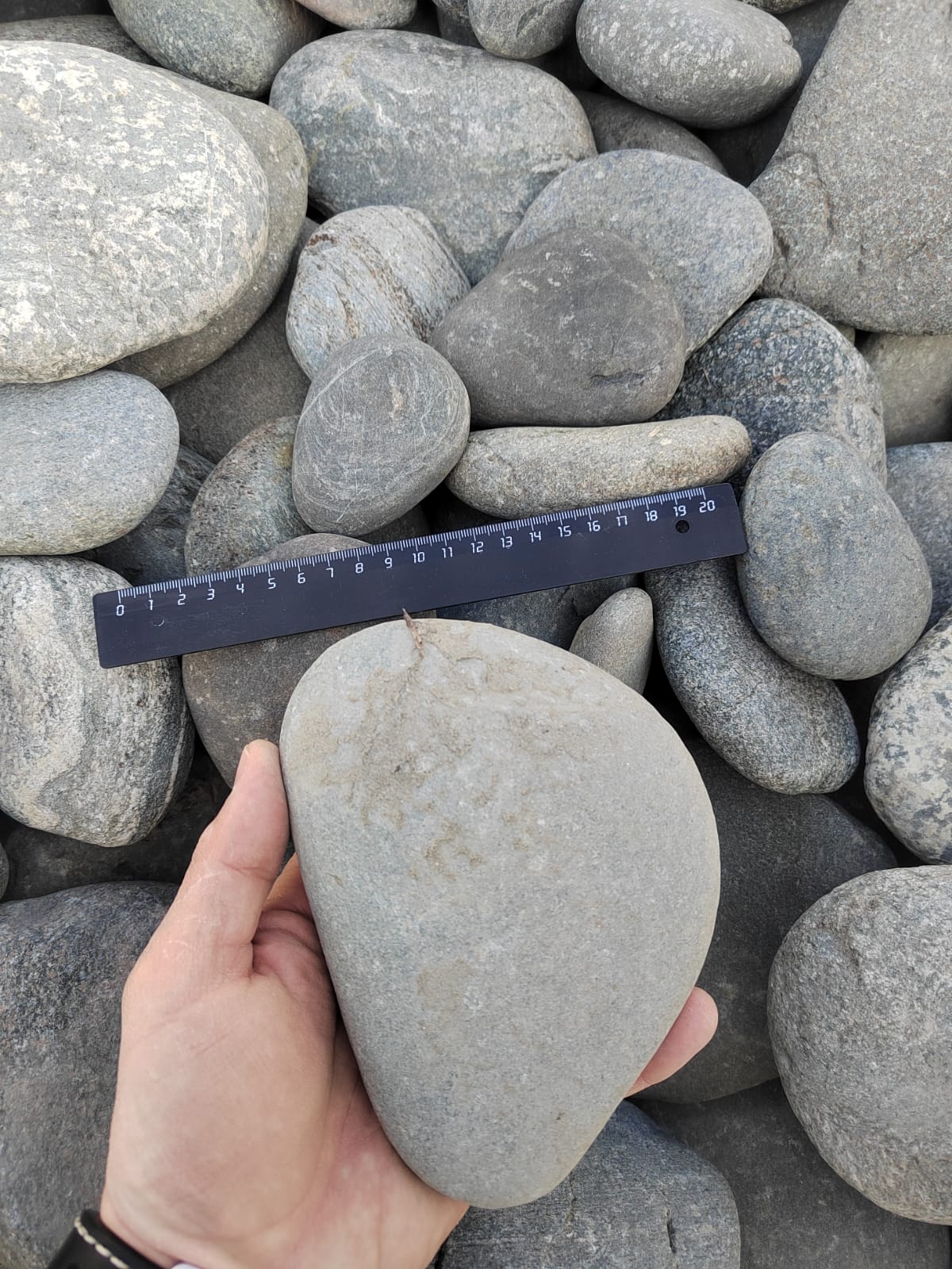 Kamenclub.ru: Галька речная плоская (ассорти) фр. 70-150 мм. купить   в  Санкт-Петербургегалька галечник серый белый темно-серый синий светло-серый плоская природная галька  6200 руб/т   фото КАМЕНЬ КЛУБ