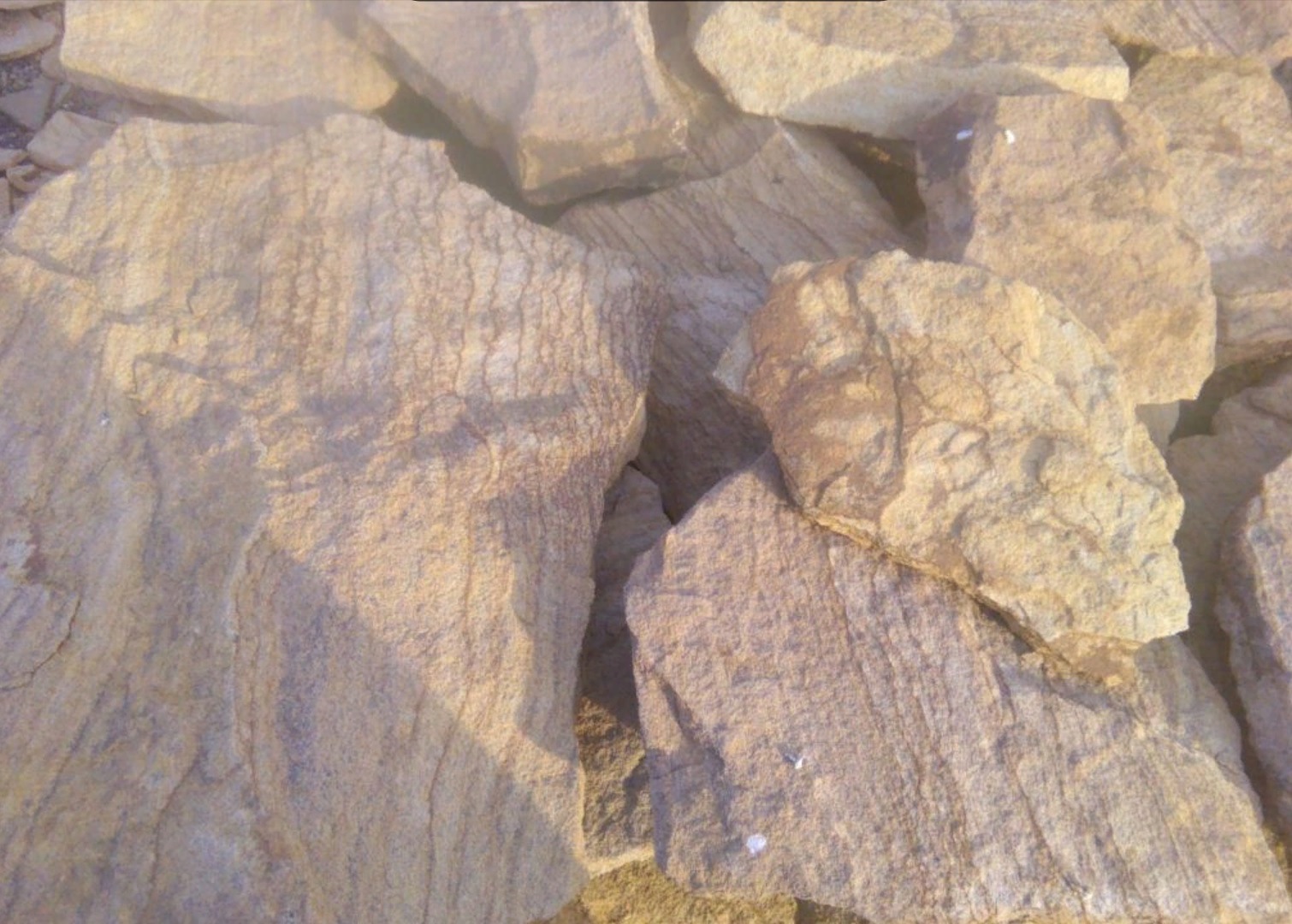 Песчаник пластушка "фонтанка" желтая (3,0 - 5,0 см)  купить  в Санкт-Петербурге песчаник желтая, рыжий, желтый песчаник колотый рваный со сколом облицовочный 8 500 руб/м3   фото 