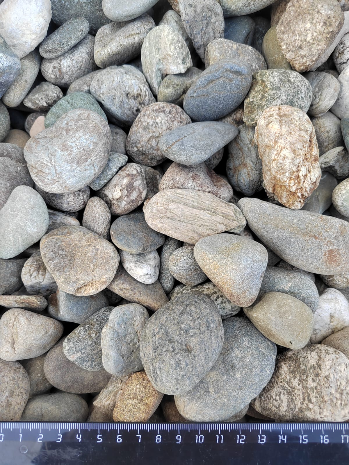  Галька речная окат (серая) фр.40-60 мм купить   в Санкт-Петербурге галька речная серый бежевый рыжий коричневый округлый речной камень 4000 руб/т   фото 